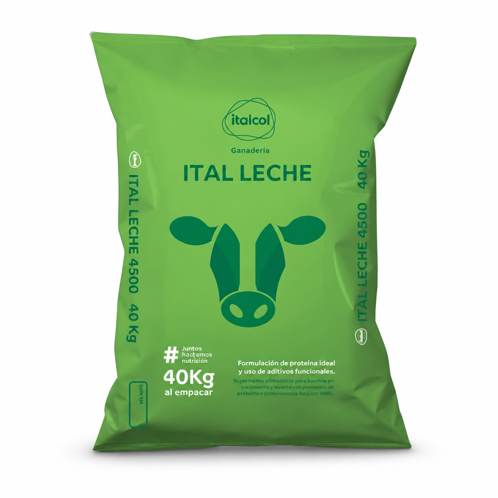 Ital leche