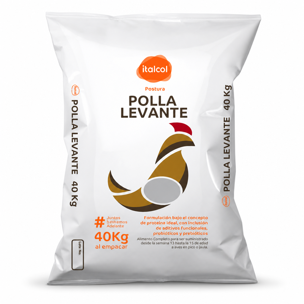 Polla levante