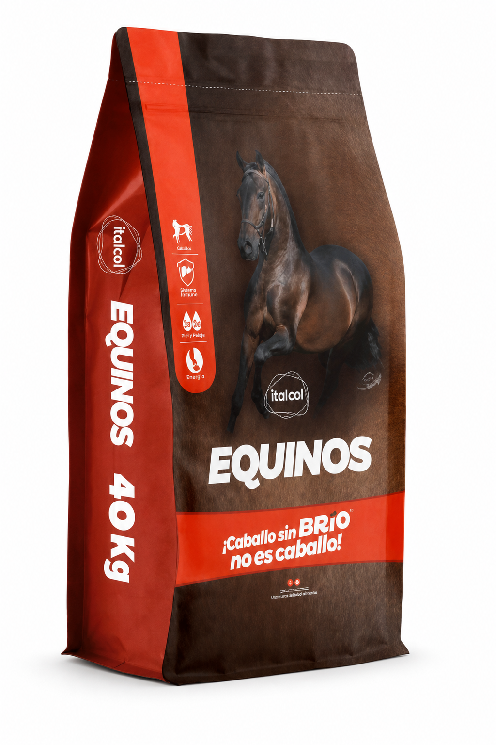 Equinos