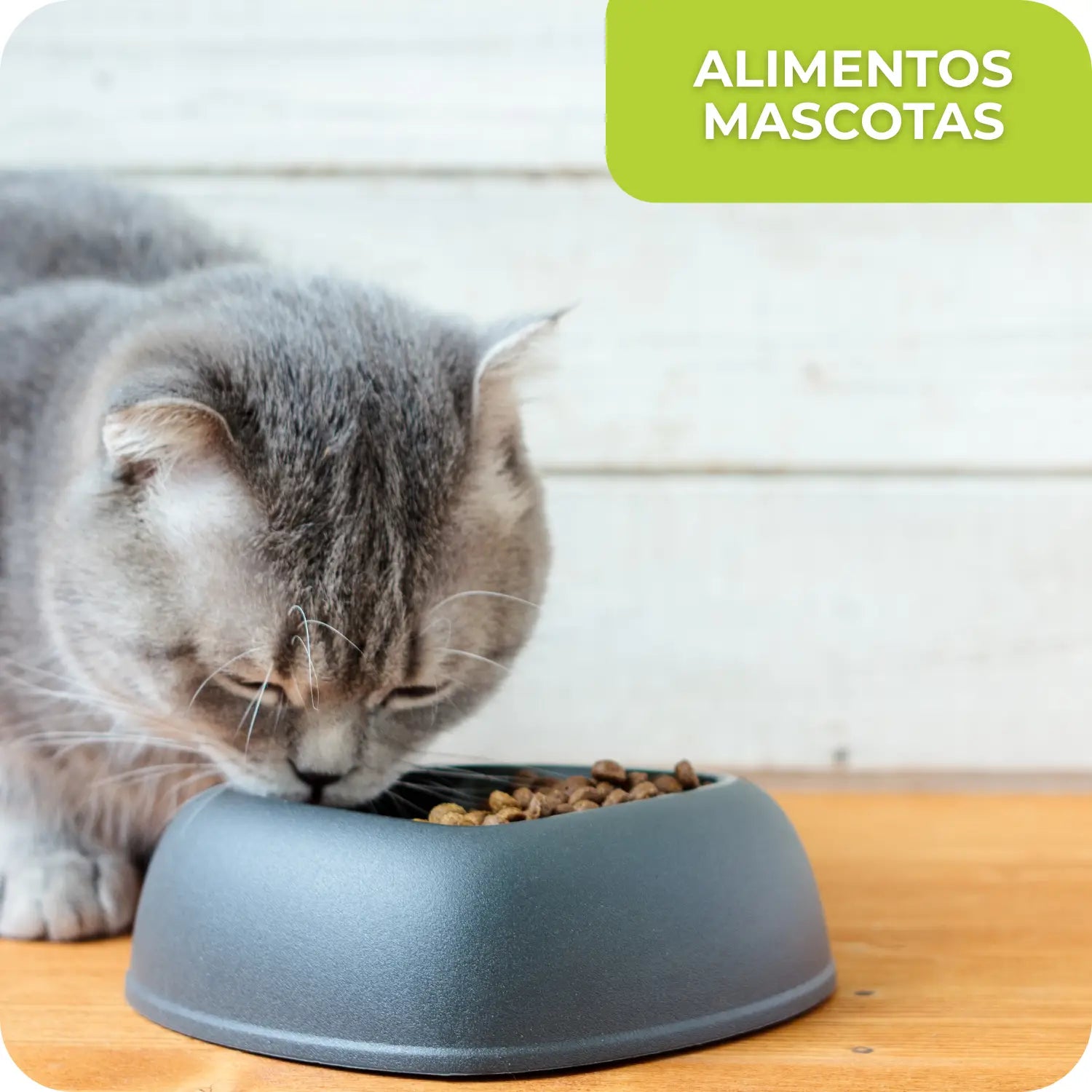 ALIMENTOS MASCOTAS