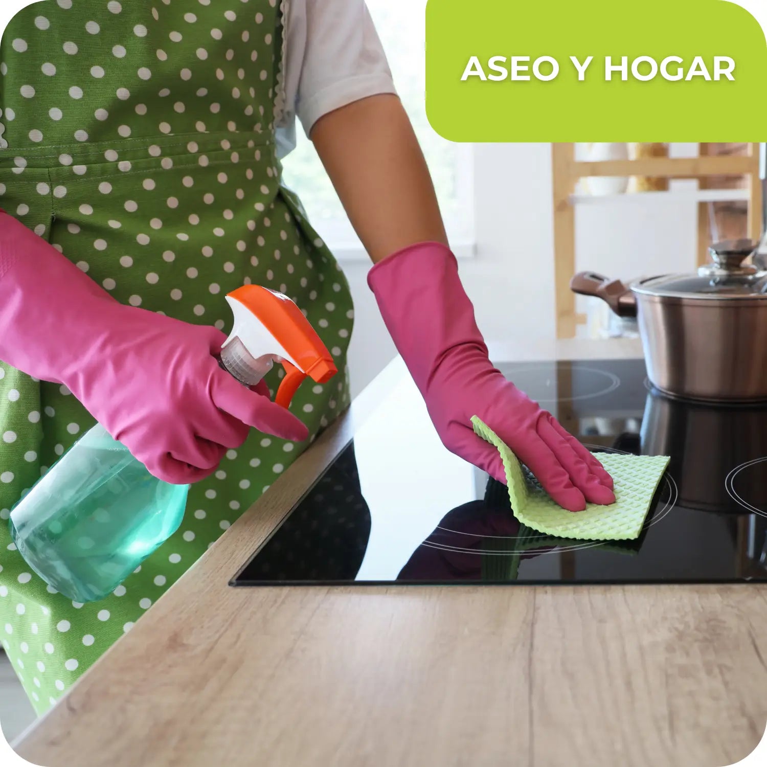 ASEO Y HOGAR