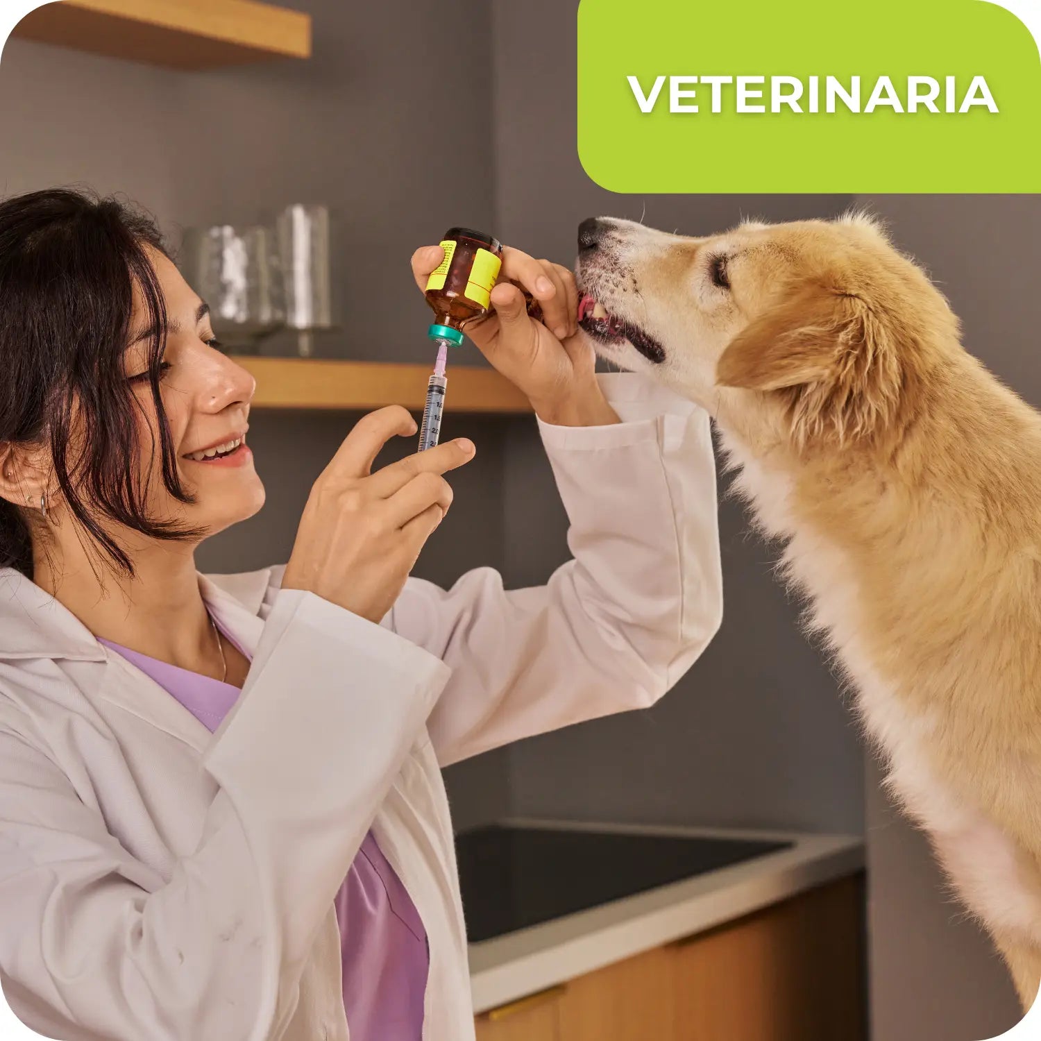 VETERINARIA