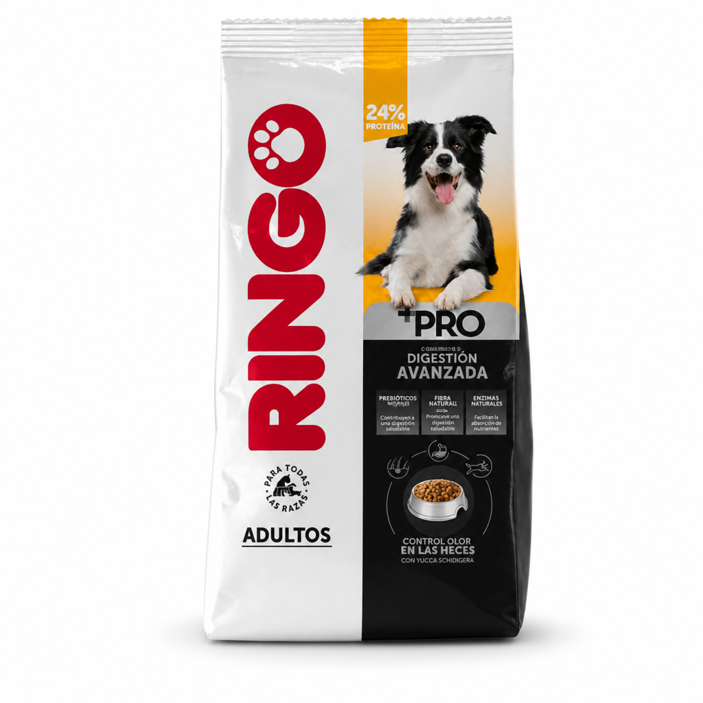 Ringo +Pro adulto (imagen de referencia)