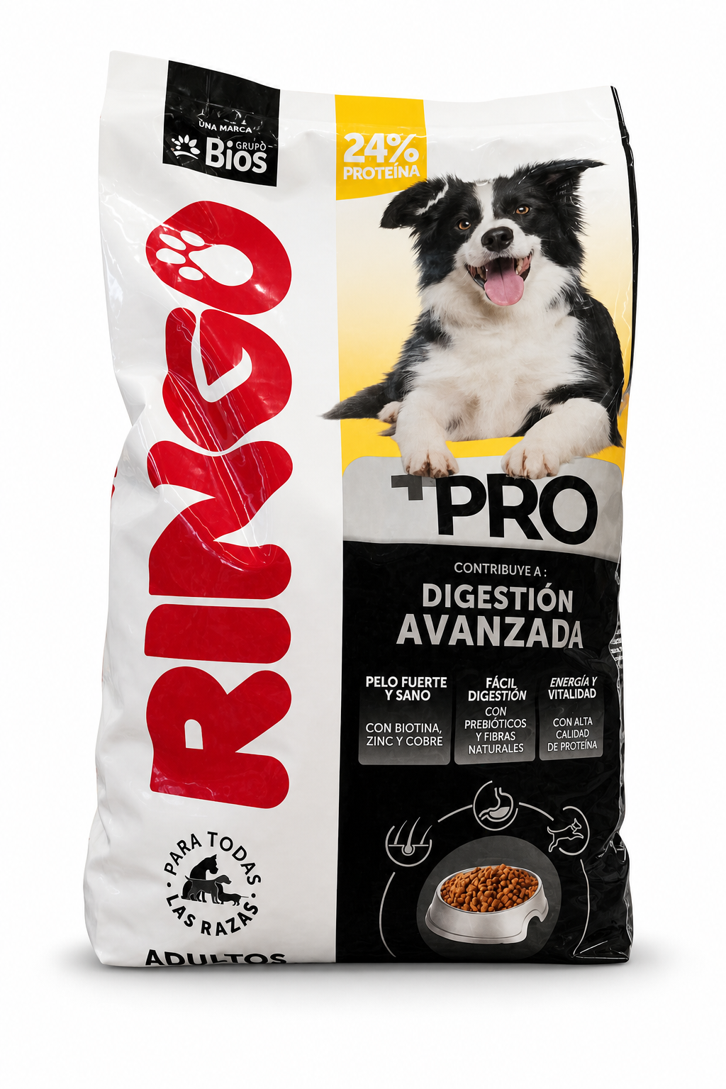 Ringo +Pro adultos