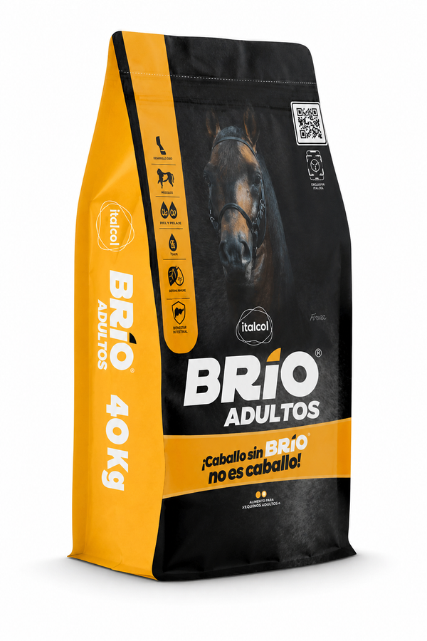 Brío adultos