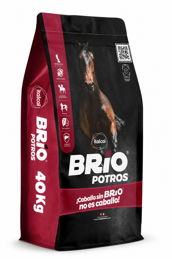 Brío potros
