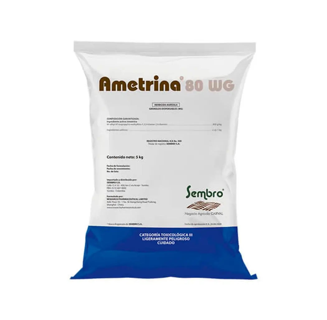 AMETRINA 80 WG SEMBRO KG