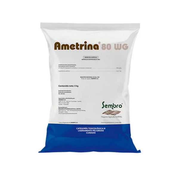 AMETRINA 80 WG SEMBRO KG