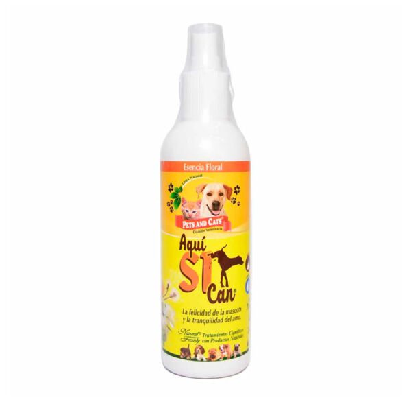 AQUI SI CAN SPRAY X240ML