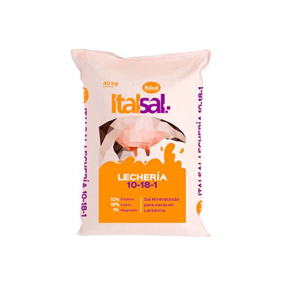 ITALSAL LECHE 10 18 1 40kg