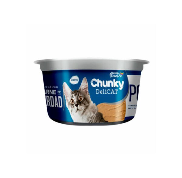 CHUNKY DELICAT POLLO POTE 156G