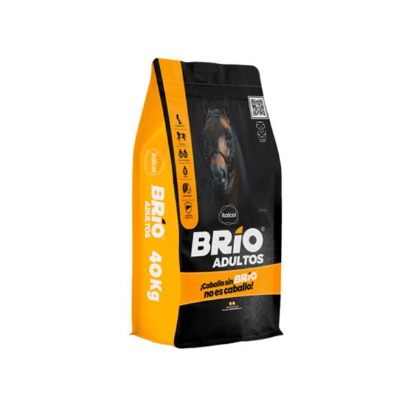 BRIO ADULTOS 40kg