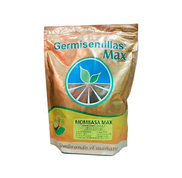SEMILLA MOMBASA MAX KG