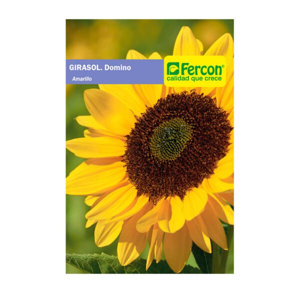 SEMILLA GIRASOL DOMINIO AMARILLA X 1GR