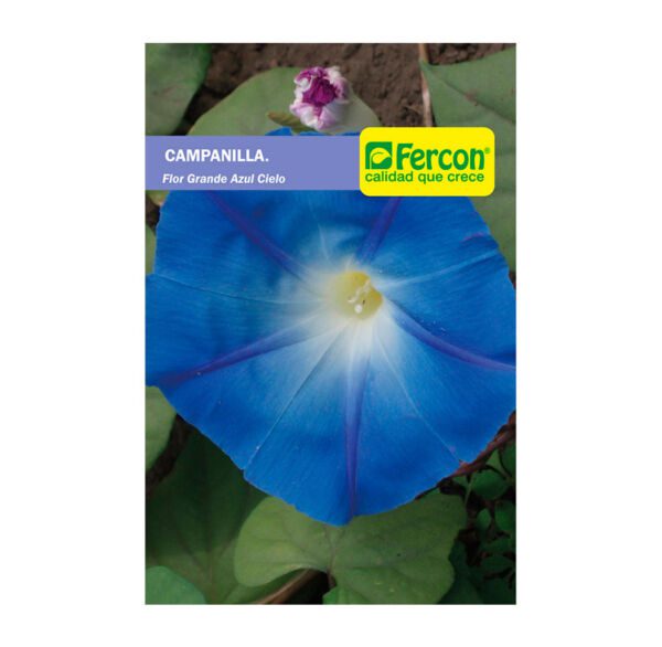SEMILLA CAMPANILLA FLOR AZUL CIELO1.0GR