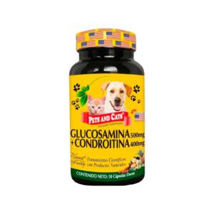 GLUCOSAMINA+CONDROITINA CAP.